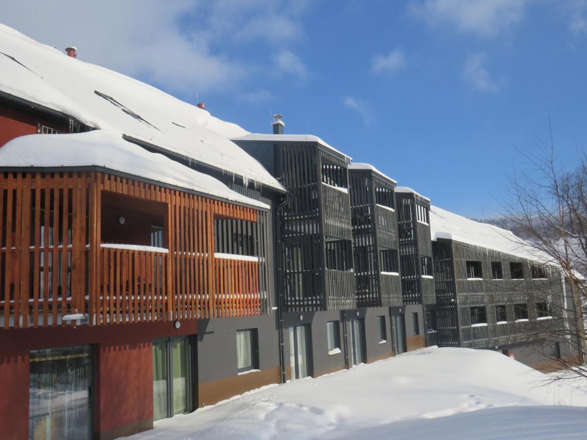 Apartman Honey Dolni Morava Exterior photo